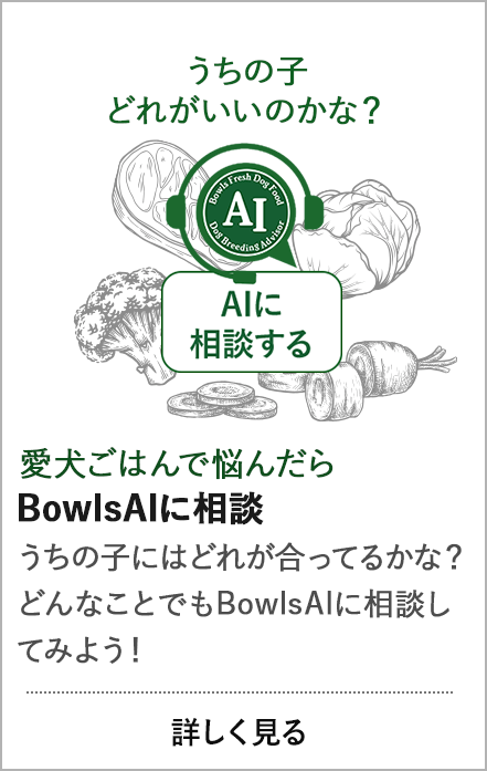 BowlsAIに相談