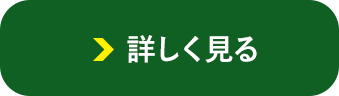 詳しく見る