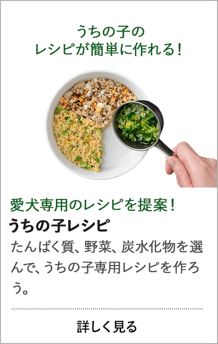 うちの子レシピ
