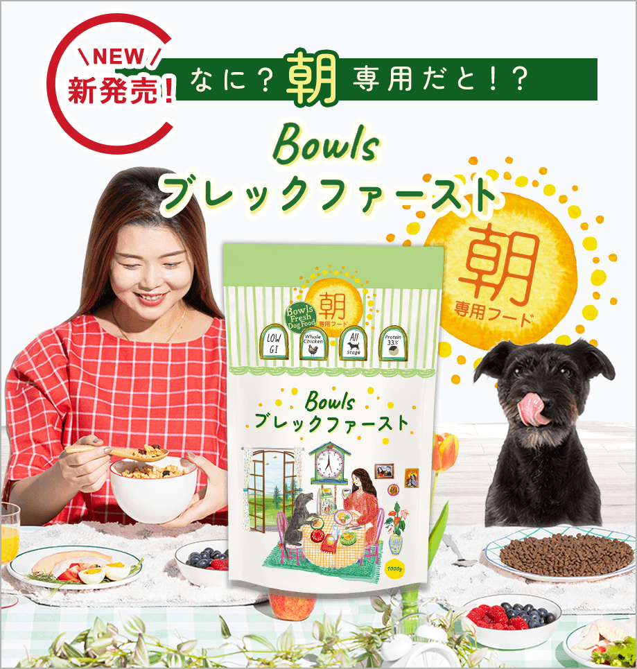 朝専用ドッグフード
