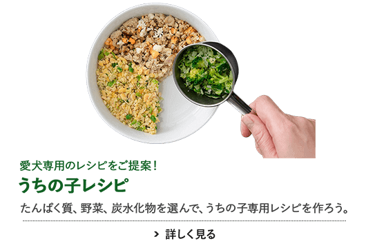 うちの子レシピ