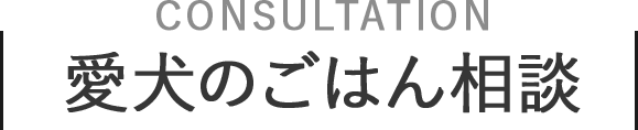 愛犬のごはん相談