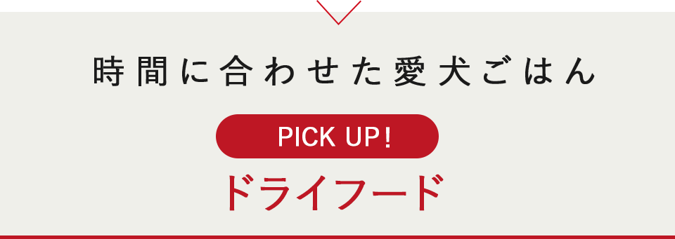時間に合わせた愛犬ごはん。ドライフード