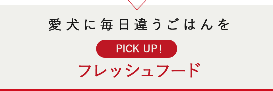 愛犬に毎日違うごはんを。フレッシュフード